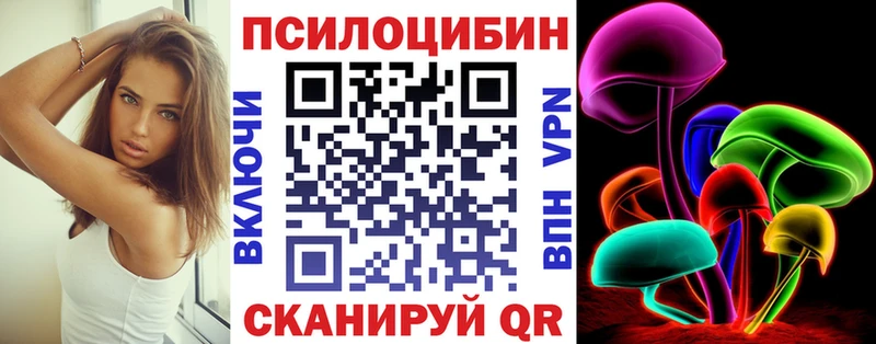 Псилоцибиновые грибы Psilocybine cubensis  Эртиль 